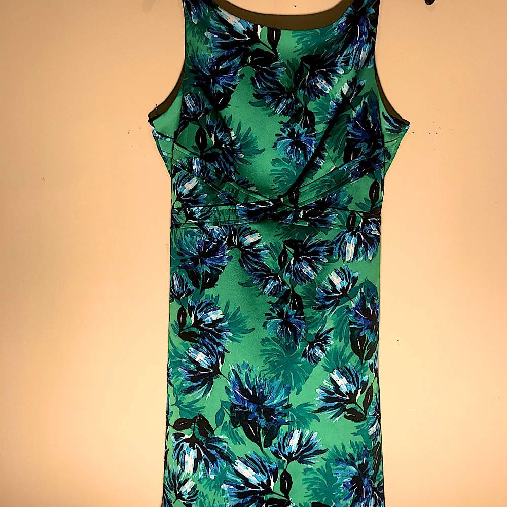 Banana Republic, Size 6 lined polyester dress with back tie. AG